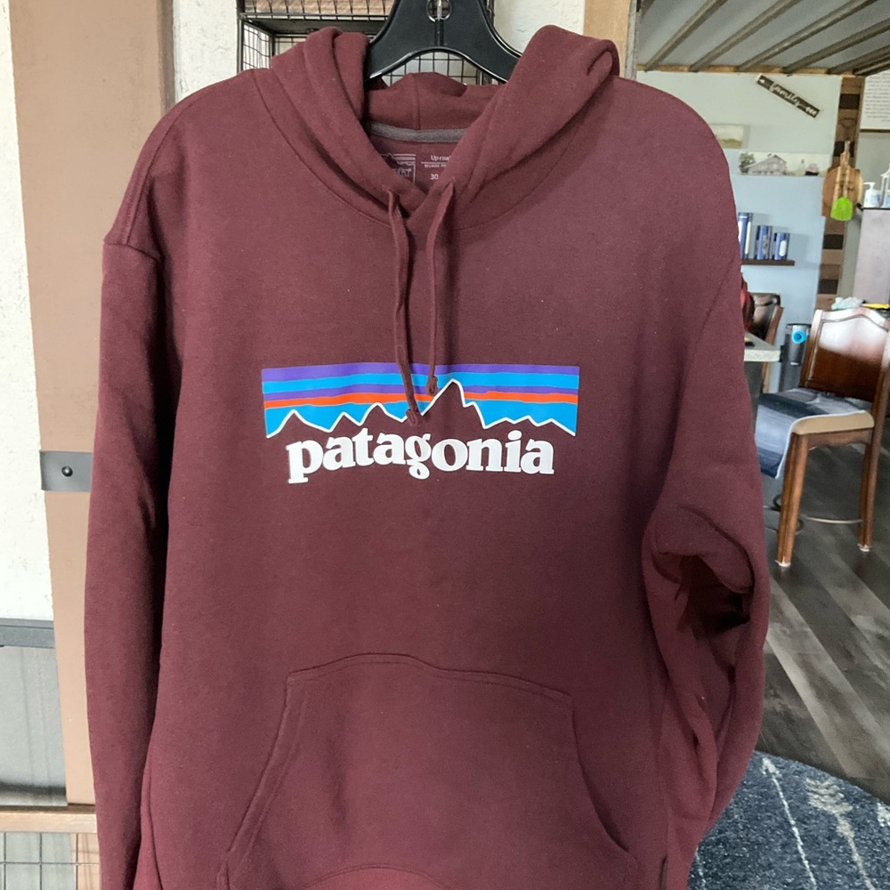 Patagonia Maroon Pullover Hoodie with Multicolor Logo